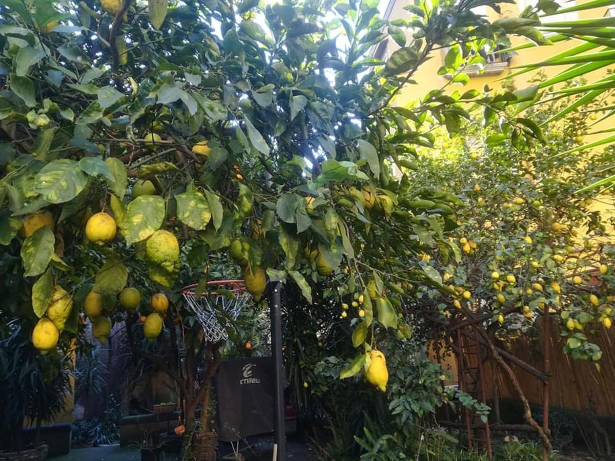 ナポリLa Limonaia Di Chiaiaアパートメント エクステリア 写真